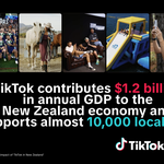 TikTok Economic Impact
