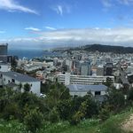 panoramic photo of Wellington City